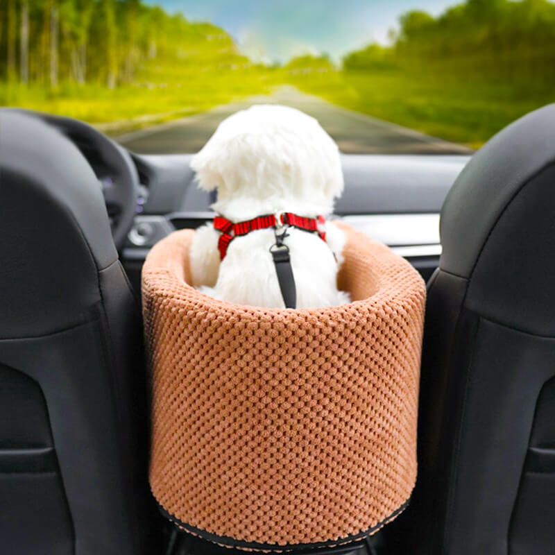 Snuggly-Safe Puppy Car Seat