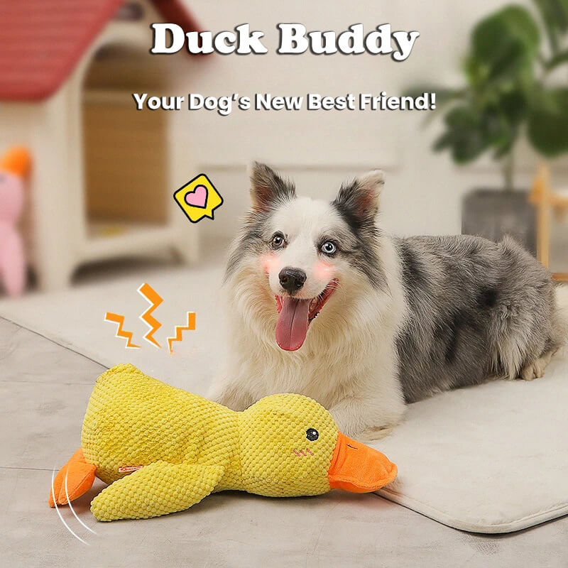 Duck Buddy - Dog Companion