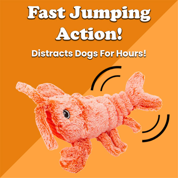 The Jumpy Lobster - Dog Toy