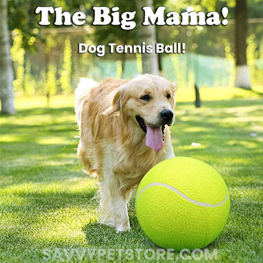 The Big Mama - Dog Tennis Ball