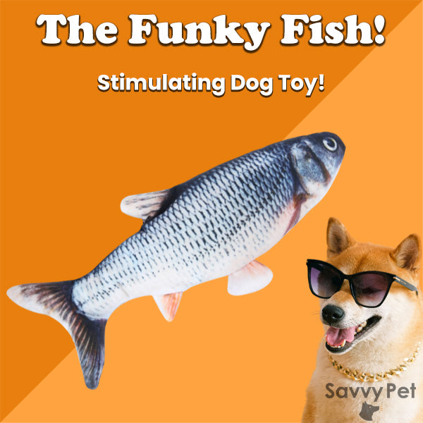 The Funky Fish - Dog Toy – Savvy Pet