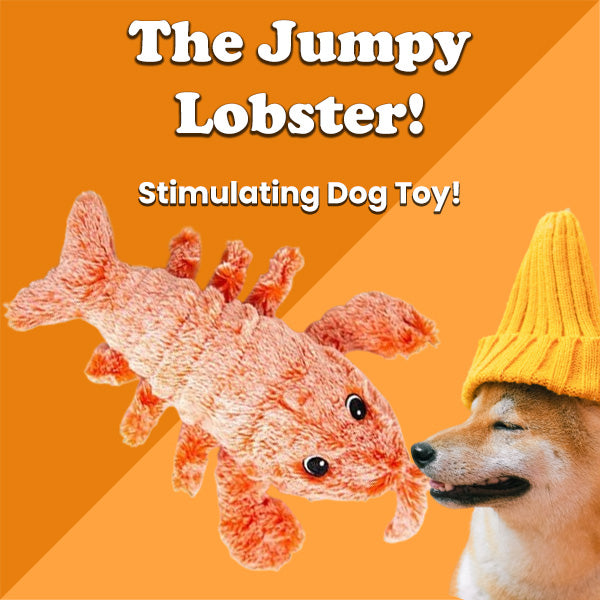 The Jumpy Lobster - Dog Toy