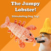 Load image into Gallery viewer, The Jumpy Lobster - Dog Toy