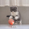 Load image into Gallery viewer, The Krazy Kitty Ball