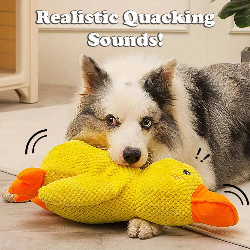 Duck Buddy - Dog Companion