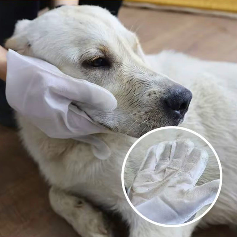 SavvyPet™ Glove Wipes