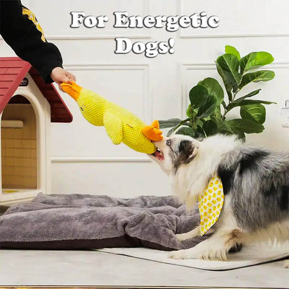 Duck Buddy - Dog Companion