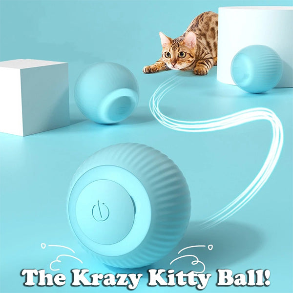 The Krazy Kitty Ball