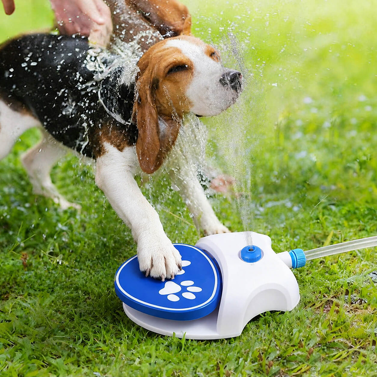 SavvyPet™ Paws-On Sprinkler