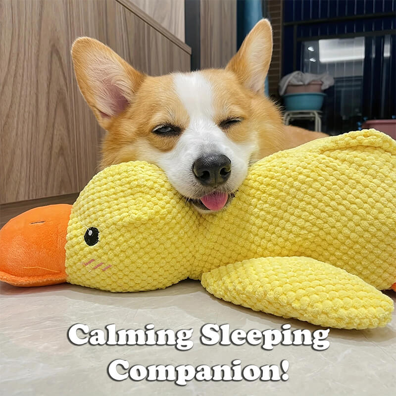 Duck Buddy - Dog Companion