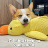 Load image into Gallery viewer, Duck Buddy - Dog Companion