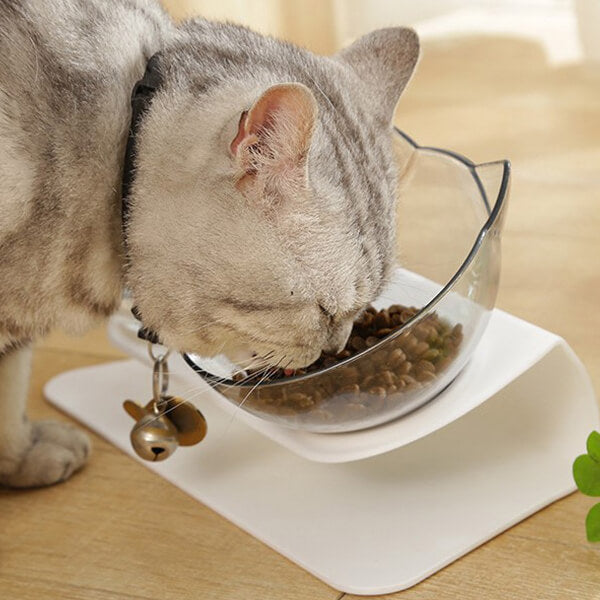 Orthopedic Anti-Vomit Cat Bowl